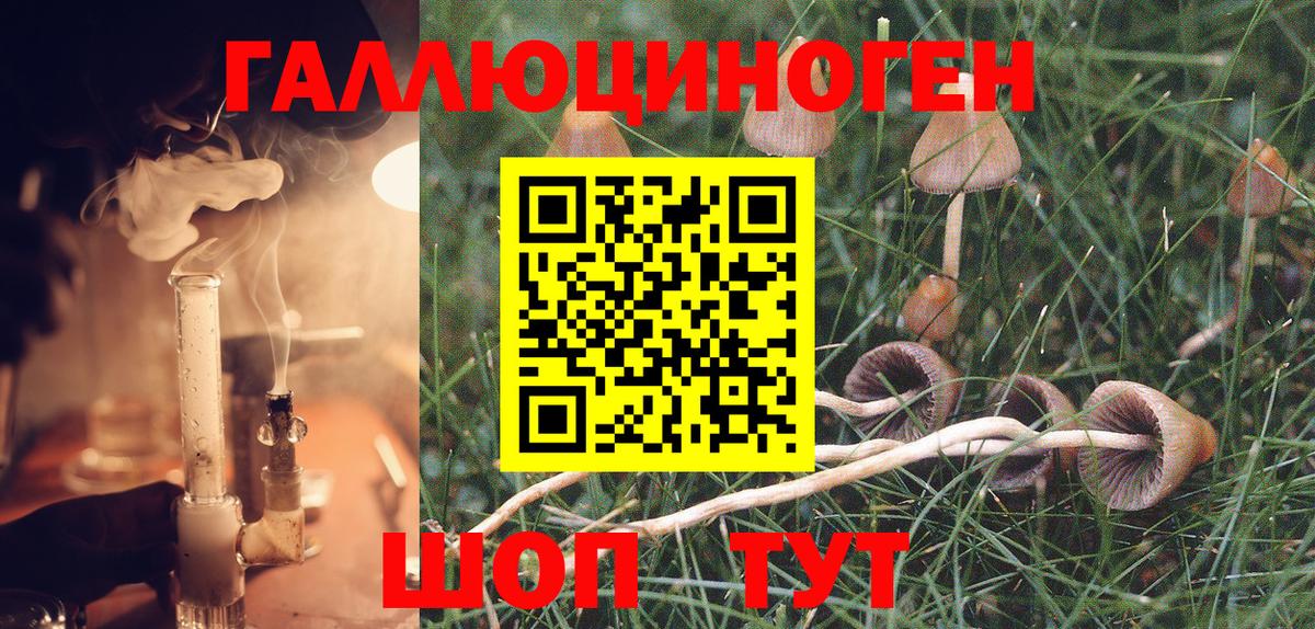 Псилоцибиновые грибы ЛСД  Галлюциногенные грибы Psilocybine cubensis  Вход с VPN  Коряжма 