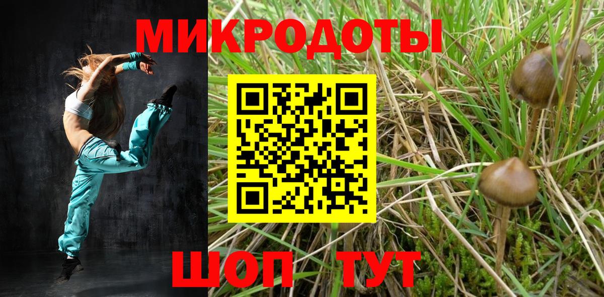 Галлюциногенные грибы Magic Shrooms Коряжма
